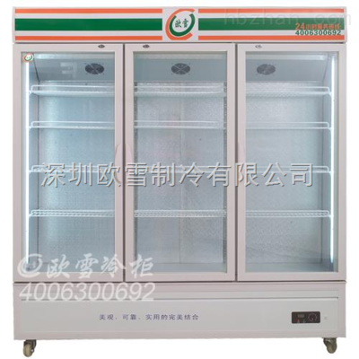 家用冷藏柜 立式設(shè)計的優(yōu)勢與應(yīng)用前景